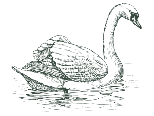 Cygne de Maison Sundborn