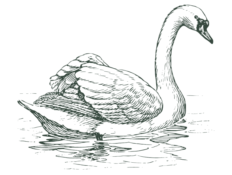 Cygne de Maison Sundborn